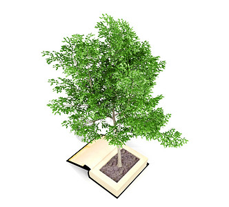 从旧书中植树阅读能发展想象力知识从教育概念中增长3D图片