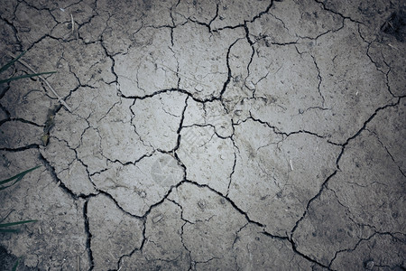 旱地泥背景质全球升温概念图片