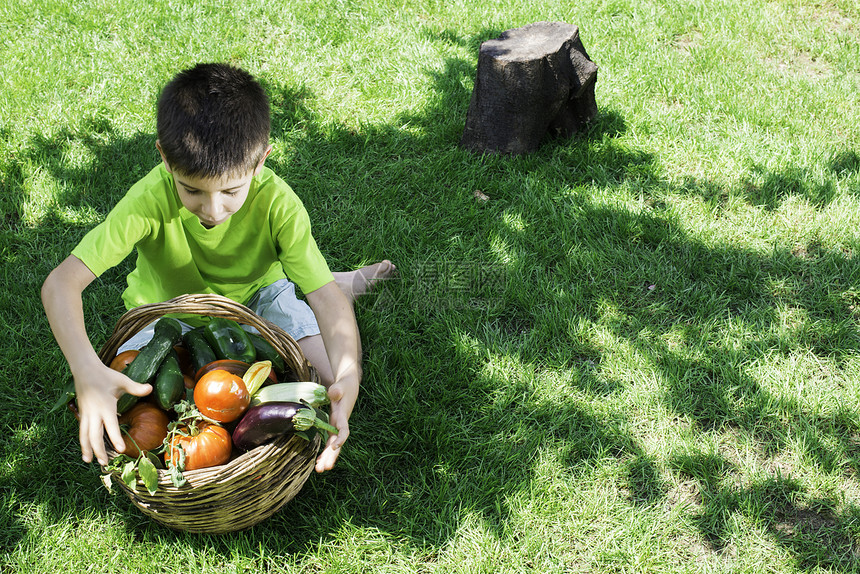 儿童在蔬菜栏里面挑选蔬菜图片