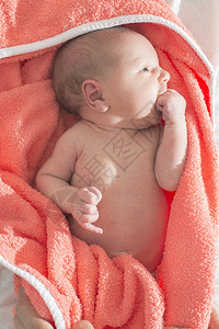 新生的女婴洗澡充满活力的色彩图片