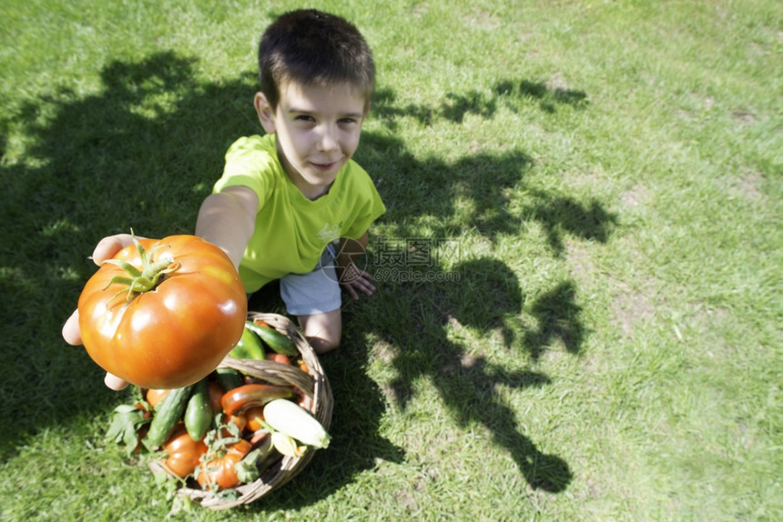 儿童在蔬菜栏里面挑选蔬菜图片