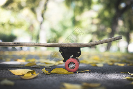 秋天在公园的滑板上关背景图片