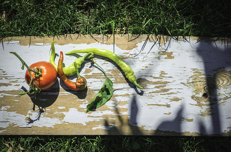 蔬菜西红柿和木本的胡椒图片