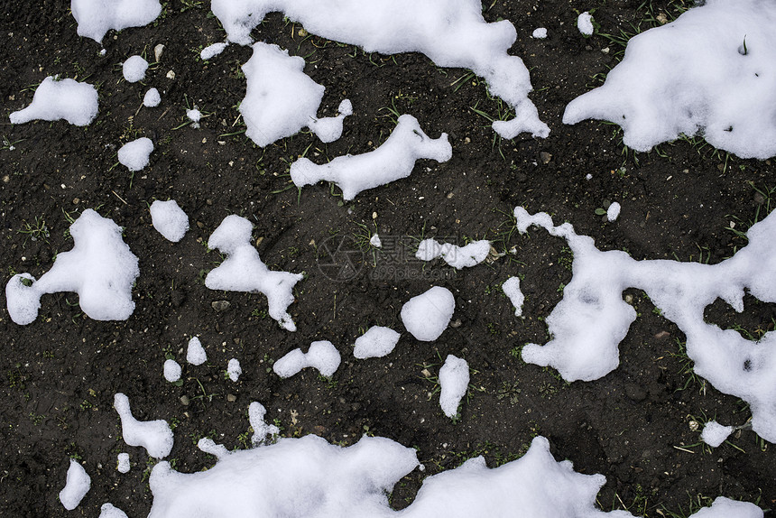 冰雪融正在显示土地春天图片