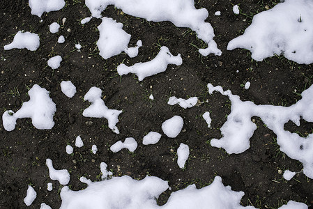 冰雪融正在显示土地春天高清图片