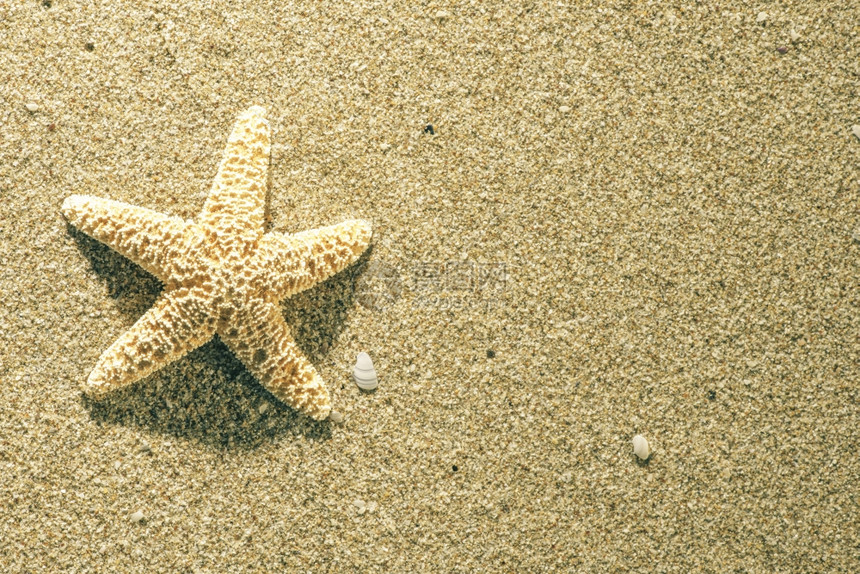 海滩上日出星图片