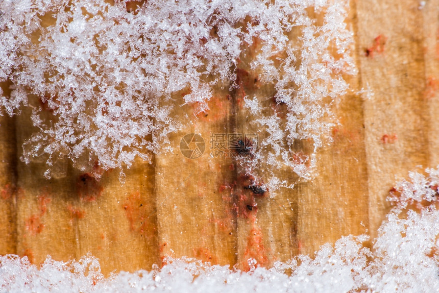 特写雪花图片