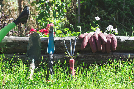 园丁施伦普夫绿色草地上的花园工具手套和刀片背景