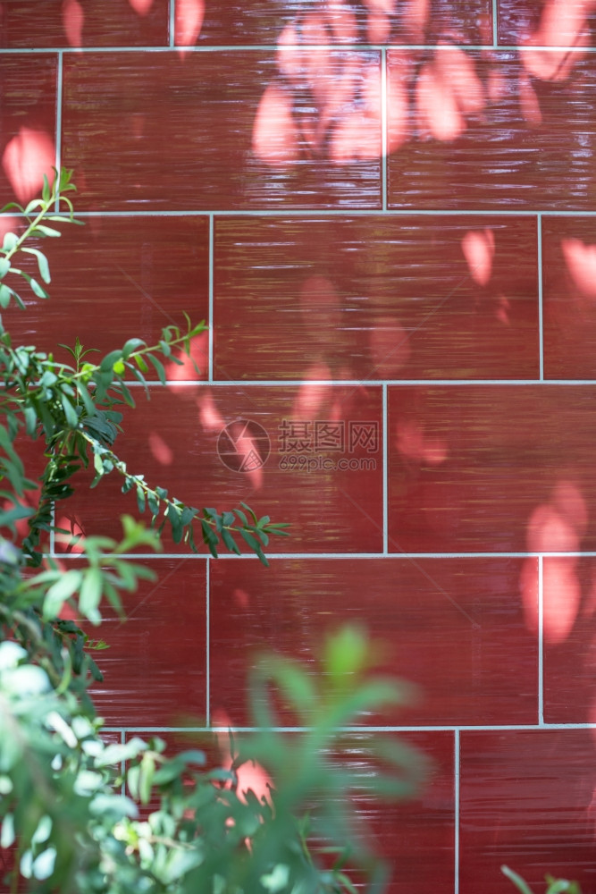红色卫生间瓷砖和绿叶图片