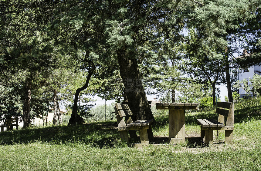 木板凳和树林里的桌子图片