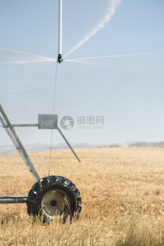 田里喷洒灌溉器黄色植物图片