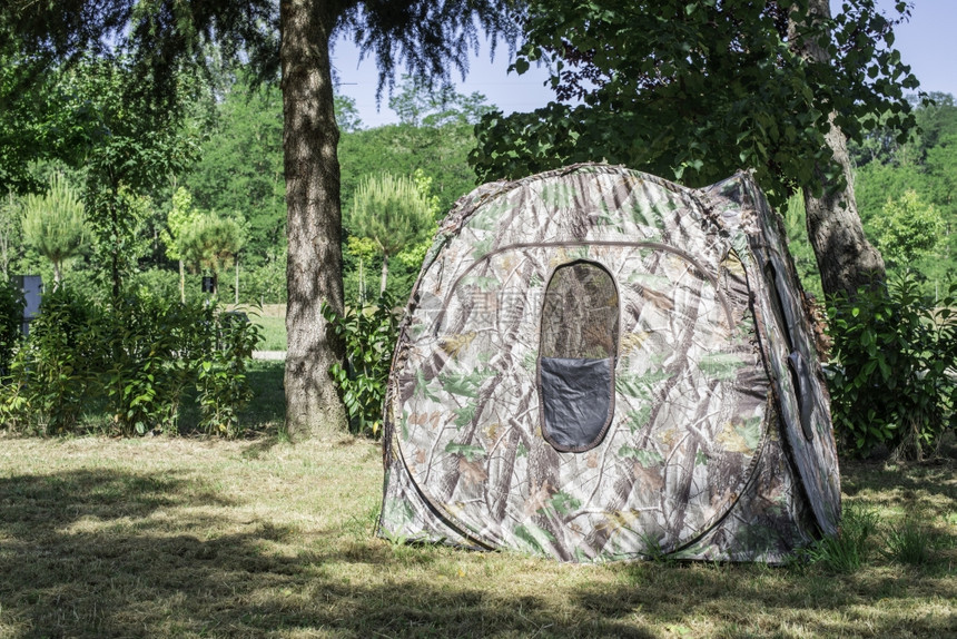 在树之间露营的帐篷上太阳照亮了图片