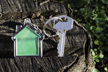 以木制房屋形状的钥匙链绿色彩房屋背景图片