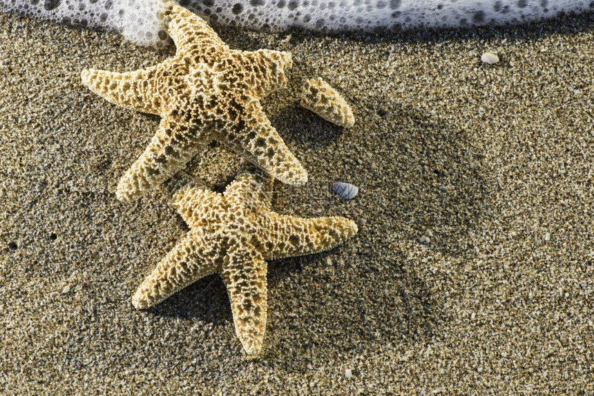 海滩上日出星图片