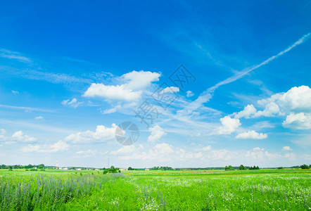 草地和完美的天空背景图片