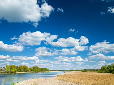 草地和池塘有蓝云的天空图片