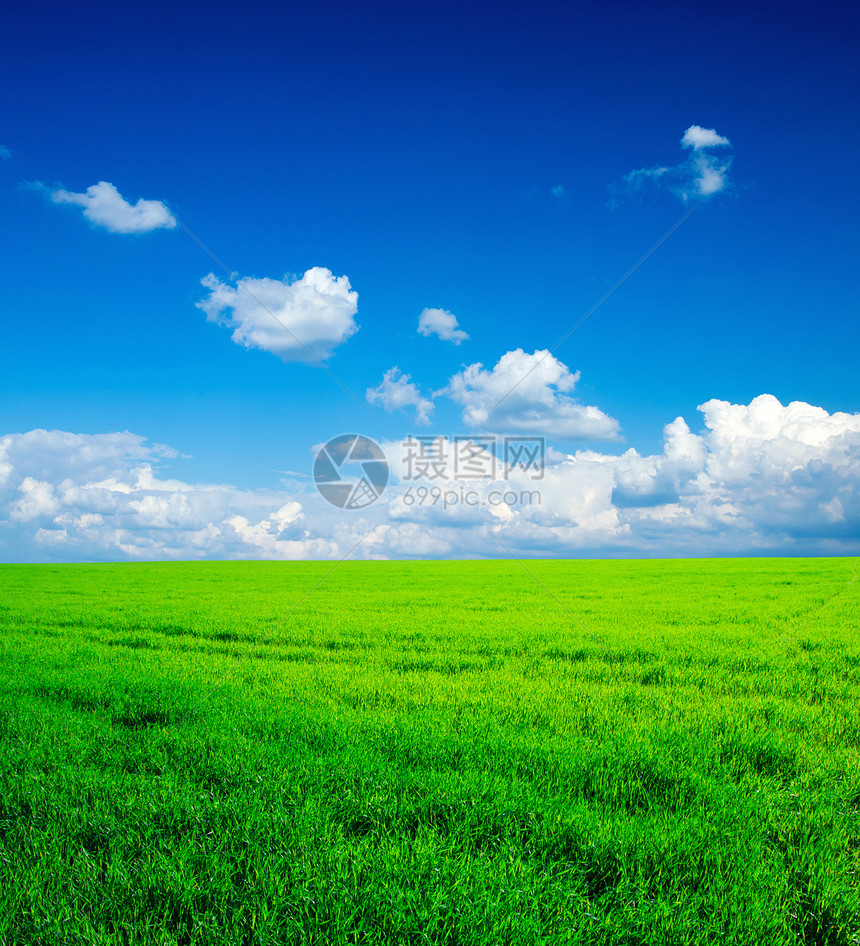 草地和完美的天空图片