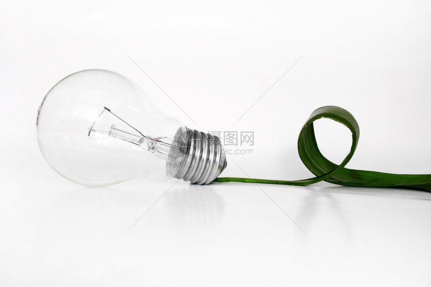 灯泡和叶概念图片