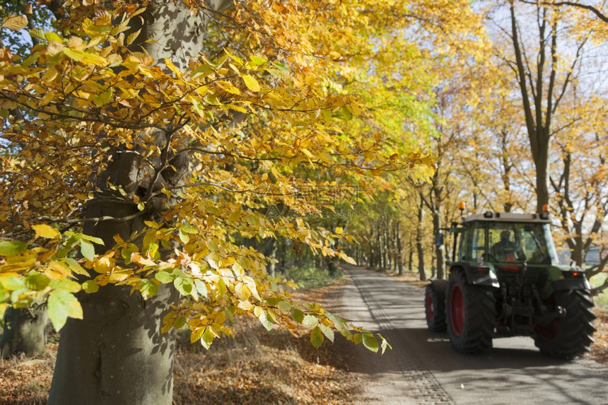 秋天在乌特勒支附近的杜奇路旁拖拉机图片