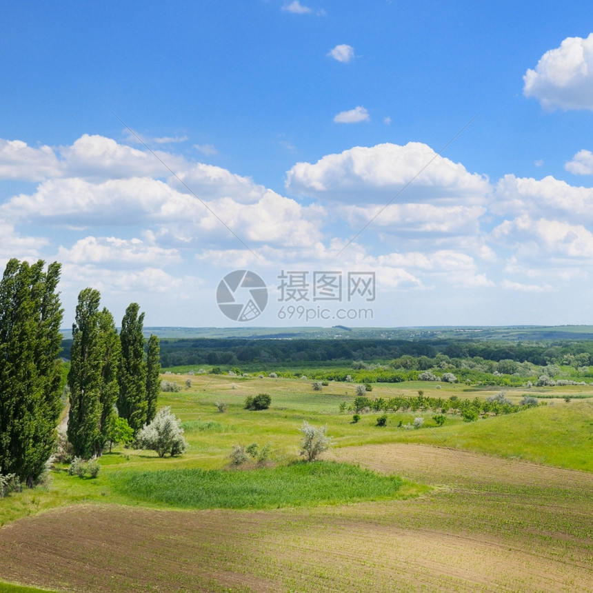 绿地和蓝天空图片