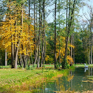 景色秋天风公园和装饰湖图片