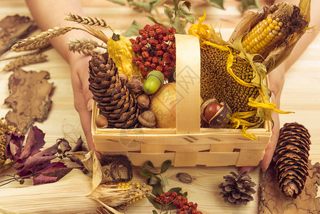 椎体秋天产品如玉米向日葵苹果木篮中的南瓜与其他林业元素一同装饰背景