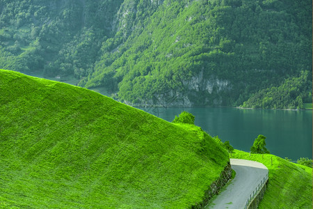 在绿草山边的乡间公路上湖和树林在背景中图片