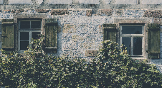 德国传统房屋外墙有两扇木窗和百叶石墙葡萄藤图片