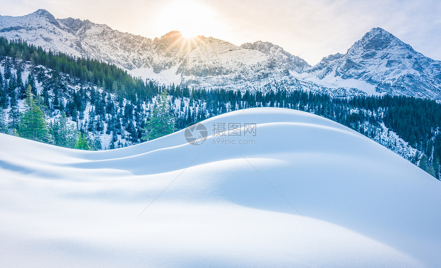 冬季森林中厚厚的积雪图片