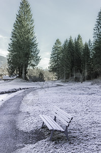 冬天的景象有一条小巷和木板凳四周是霜冻的在奥斯特里亚州Ehrwald图片