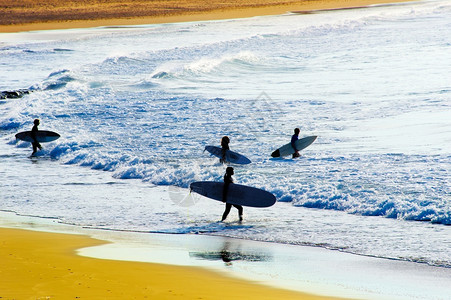 一群冲浪者在海洋中图片