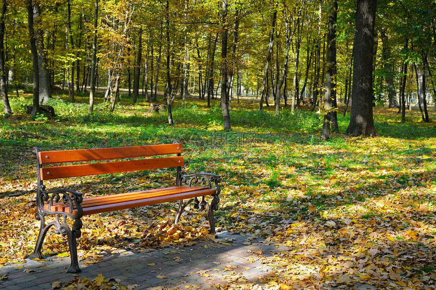 拥有道路和长板的美丽秋天公园图片
