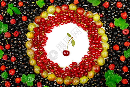 红色和黑草原鹅莓图片