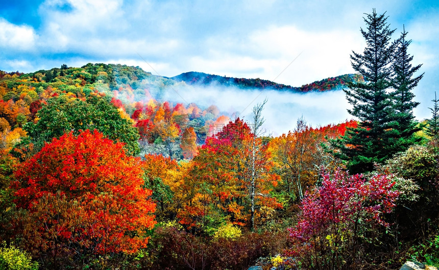 秋季山脉和森林树图片