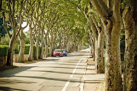 扎达尔马提亚croati的都市树干街道图片