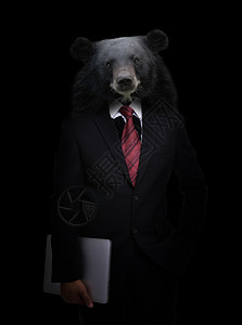 黑着熊头的商人图片