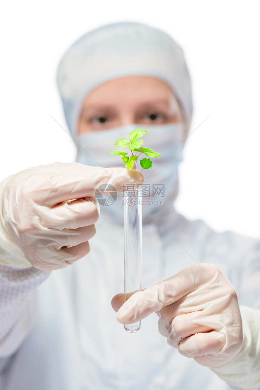 生物学家用试管和细菌植物肖像图片