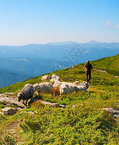 牧羊人在山上放牧图片