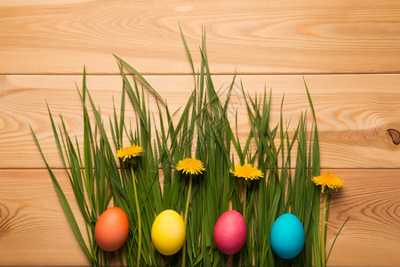 野草和彩色的复活节鸡蛋图片