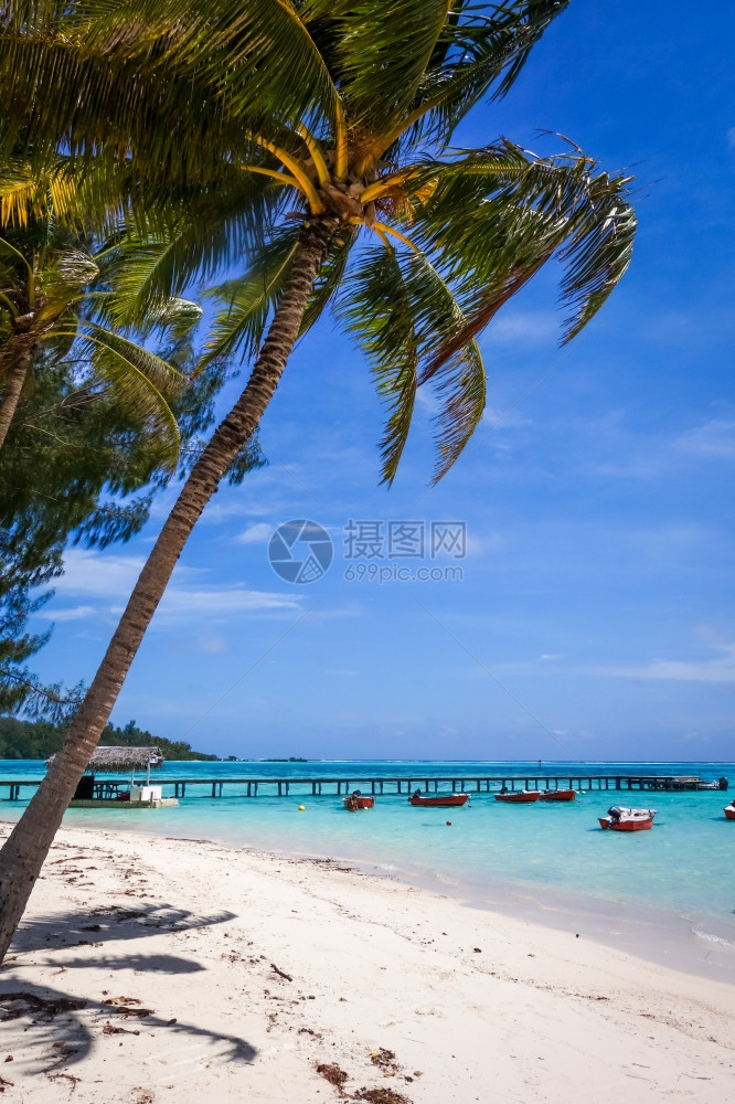 白沙滩和莫奥里亚岛的环礁湖码头图片