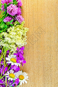木板背景上的花朵木甘菊火草和图片