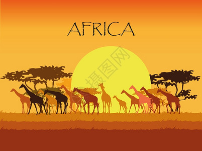 非洲手鼓热带草原上树和太阳的长颈鹿和的环形背面矢量树草和太阳设计图片