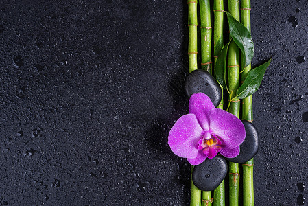 黑底竹子素材新鲜度背景高清图片