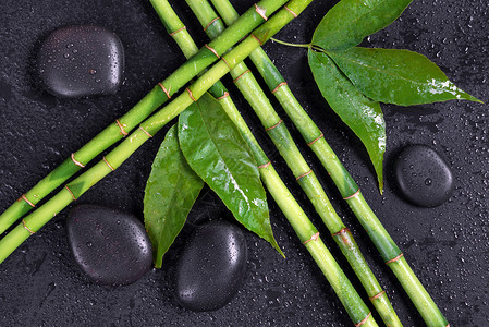 黑底竹子素材亚洲的石头高清图片