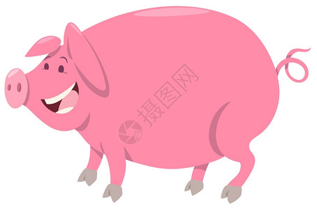 粉红猪插图图片