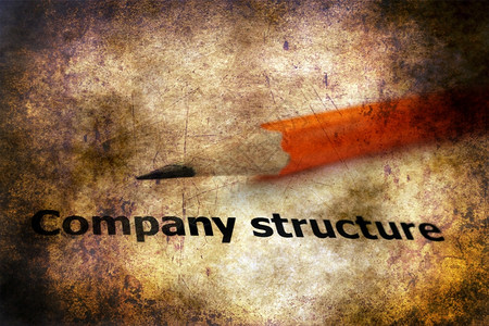 Glunge背景上的公司结构文字图片