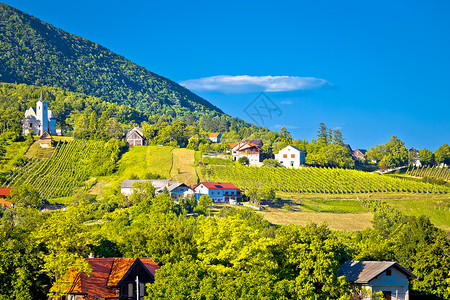 胡戈文斯绿色的普利维卡村北部croati背景