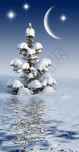 夜空中有雪地的圣诞树月亮和星在水面反射图片