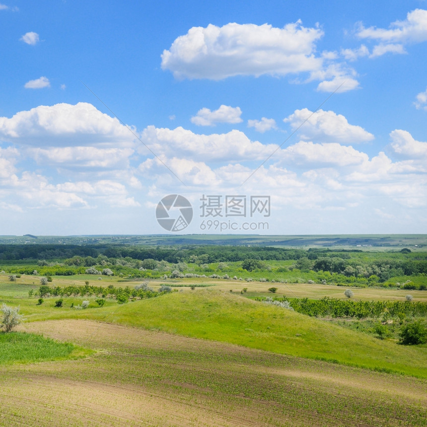 绿地和蓝天空图片