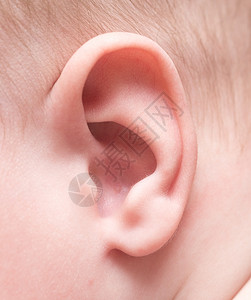 婴儿耳朵特写图片